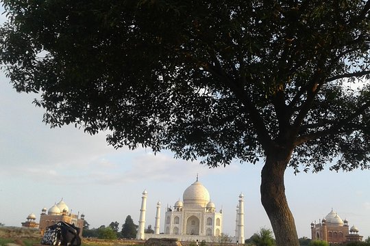 Tour image 7
