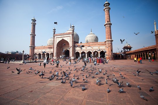 Tour image 11