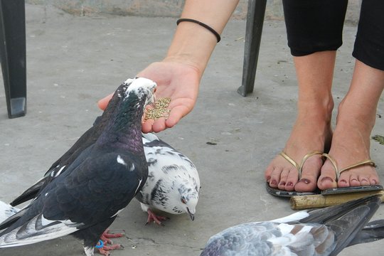 Tour image 9